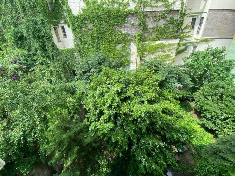 Raday Street, Spacious, Modern Apartment ブダペスト エクステリア 写真